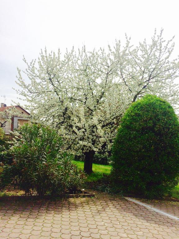 I Ciliegi Apartment Moncalieri Bagian luar foto