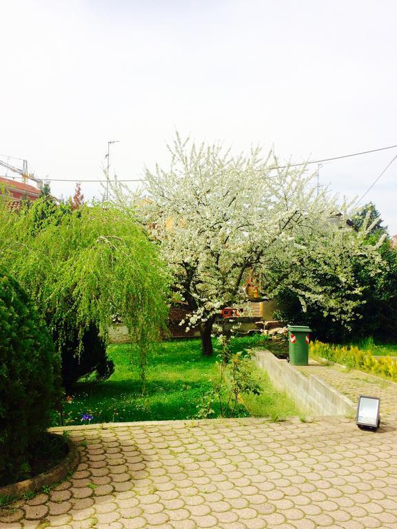 I Ciliegi Apartment Moncalieri Bagian luar foto